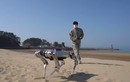 Kinh ngạc robot bốn chân di chuyển trên mọi địa hình
