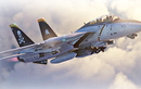  Lý do gì khiến Mỹ “băm nát” tiêm kích F-14 Tomcat?