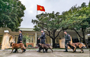 Xem Cảnh sát cơ động CATP Hà Nội huấn luyện chú chó nghiệp vụ