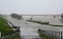 Nhật Bản cứu trợ tàu bị đắm có người Việt do bão Hagibis