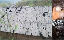 Cảnh tượng tan hoang sau cơn mưa đá khổng lồ ở Lai Châu 