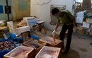 Thu giữ 6 tấn chân gà, nội tạng động vật không rõ nguồn gốc ở Hà Nội