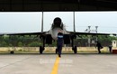 Điều gì tạo nên sức mạnh “hổ mang chúa” Su-30MK2 Việt Nam?