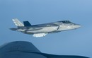 Tiêm kích F-35 vừa có tổn thất cực lớn sau 17 năm tồn tại