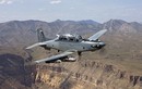 Việt Nam quan tâm T-6 Texan II để chuẩn bị cho F-16?