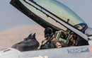 Phi công F-16 NATO thiệt mạng trong vụ không kích của Nga