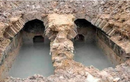 Mở mộ cổ 2.000 năm, sốc ngang khi thấy “quái thú” bò ra