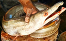 Loài cá lạ Việt Nam sở hữu bộ phận quý gần chục triệu đồng 1kg
