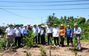 Thanh Hoá: Kiểm tra dự án quản lý rừng ngập mặn