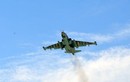 Azerbaijan: Không quân xuất kích 600 lần, mất duy nhất một máy bay