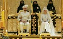 Đám cưới siêu khủng của công chúa Brunei phủ một biển vàng