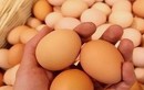 Ăn trứng khi bụng đói vào buổi sáng, sau 30 ngày