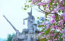 Đẹp nao lòng con đường hoa ban ở Truông Bồn