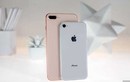 Mỗi chiếc iPhone 8 bán ra, Apple kiếm từ người dùng bao nhiêu tiền?