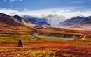 19 bức ảnh minh chứng Alaska là nơi đẹp nhất Trái đất