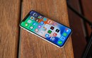 Quá ế ẩm, iPhone X có thể bị khai tử trong năm 2018