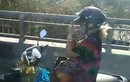 Video: Nữ “ninja” lái xe máy buông 2 tay, châm thuốc lá trên cầu