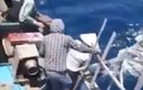 Video ngư dân phóng lao giết cá heo gây phẫn nộ