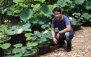 Tuyệt chiêu trồng sen một tháng đã "bắt" trổ bông của 9X xứ Quảng