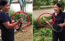 Xôn xao clip cô giáo mầm non tay không bắt rắn hổ mang ở Lào Cai