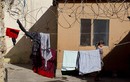 Trượt bài kiểm tra trinh tiết, cô gái Afghanistan bị tống giam