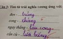 Những bài kiểm tra, tập làm văn 'bá đạo' của học sinh