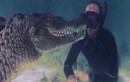 Video: Rợn người cảnh thợ lặn đối đầu với cá sấu khổng lồ ở Mexico