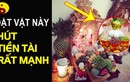 Đặt "lễ vật" này lên bàn thờ thần Tài, lộc về như vũ bão