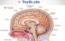 Bị u tuyến yên, cô gái 22 tuổi không có thai ngực vẫn tiết sữa