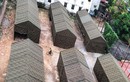 Xây dựng bệnh viện dã chiến ngay trong Bệnh viện Bạch Mai