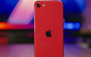 Những tính năng iPhone SE 2020 phải 'chào thua' Pixel 3a