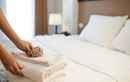 Video: Lý do khăn mặt và ga trải giường ở khách sạn luôn có màu trắng