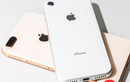 Apple sẽ tiếp tục ra mắt iPhone SE Plus 'siêu to' với mức giá rẻ