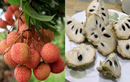 Những loại quả “đặc sản” của mùa Hè và những lưu ý khi ăn