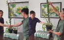 Cơn sốt lan phi điệp đột biến: 'Bong bóng đang vỡ rồi'