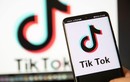 Microsoft chính thức không tham gia vào việc mua TikTok