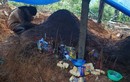 Hình ảnh đau xót: Nữ sinh lớp 11 gục bên mộ của cha mẹ