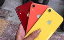 iPhone XR quay trở lại với giá siêu rẻ