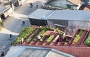 Giải thưởng kiến trúc 2020, 2 ngôi nhà ở Việt Nam giành chiến thắng 