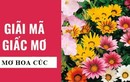 Ngủ mớ thấy hoa cúc là điềm báo gì?