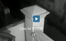 Video : Hai tên trộm trèo qua tường lấy cắp chậu cảnh