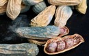 3 thứ chứa aflatoxin độc hơn asen