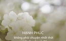 8 loại hạnh phúc quý giá nhất ai cũng có