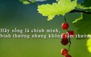 Hãy cứ là chính mình dũng cảm đối mặt với sóng to gió lớn