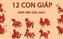 Những tháng vận hạn của 12 con giáp trong năm Tân Sửu 2021