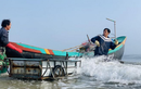 Mùa sứa biển, ngư dân kiếm tiền triệu mỗi ngày