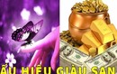 Thấy 4 điềm này: Thần Tài ghé thăm phát lộc cho bạn