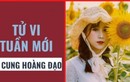 Dự đoán tuần mới từ 24/5-30/5/2021 của 12 Cung Hoàng đạo