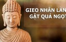 Gieo giống thiện lành từ việc làm thiện tâm ắt có phúc báo muôn đời