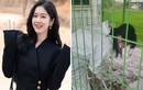 Ngôi sao nổi tiếng như Jang Nara cũng phải đi dọn vệ sinh giữa mùa dịch